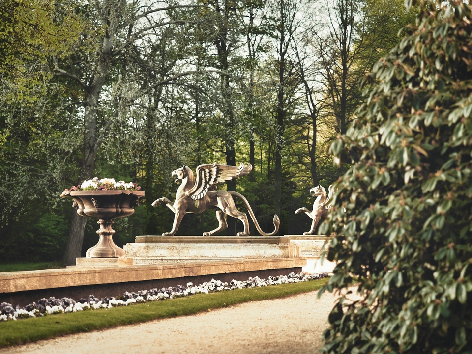 Foto zur Universität: Medizinische Universität Lausitz – Carl Thiem